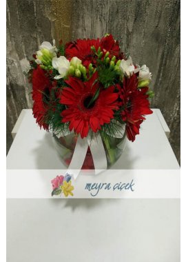 Fanusta Gerbera ve Frezyalar